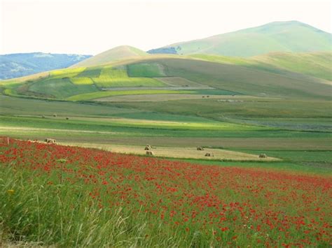 So You Want to Hike in Italy... - CIU Travel