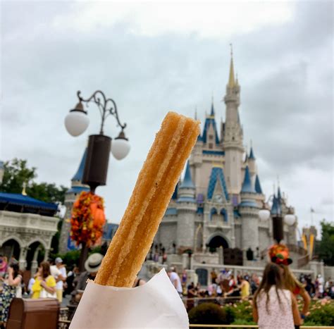 disney churro in 2021 | Walt disney world, Disney churro, Disney world