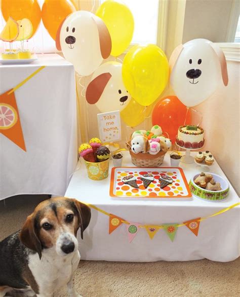 The Best Ideas for Puppy Birthday Decorations - Home, Family, Style and Art Ideas