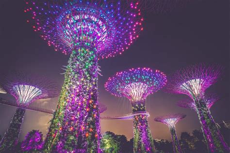 Singapore Travel Bubble | Local Travel