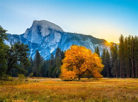 Yosemite National Park Autumn Colors Fall Foliage Fuji GFX100 Fine Art Landscape Nature ...