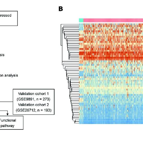 | Identification of methylated related genes and flowchart of the... | Download Scientific Diagram