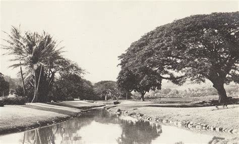 HISTORY — MOANALUA GARDENS