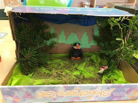 Bald Eagle habitat diorama - forest | Habitats projects, Bald eagle ...