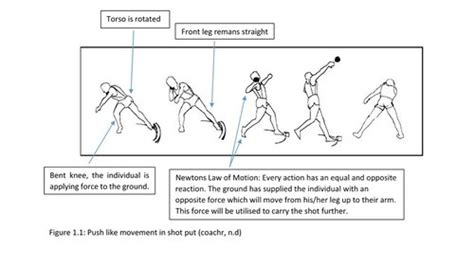 Biomechanics of shot put