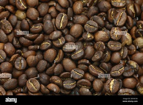 roasting coffee beans process by handy roaster at home; roast finished Stock Photo - Alamy