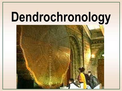 Dendrochronology - YouTube