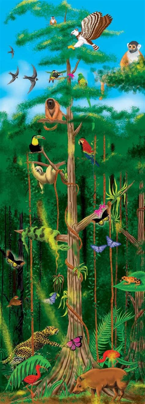 Rainforest Layers Puzzle | Rainforest crafts, Rainforest theme, Rainforest animals