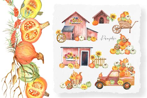 Pumpkin farm clipart Set By Evgeniia Bergmann | TheHungryJPEG