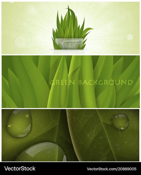 Grass nature banner for facebook design Royalty Free Vector