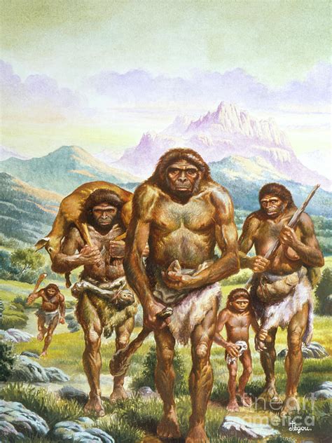 Homo Erectus Returning From Hunt Photograph by Science Photo Library ...