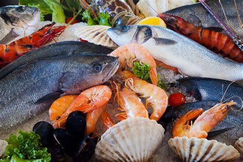 Fresh Seafood Free Stock Photo - Public Domain Pictures