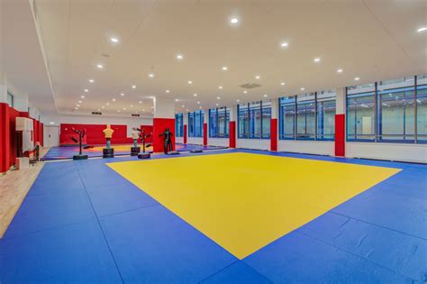 How to Pick the Best BJJ Mats for Home Gyms, Academies - Find Your Gi