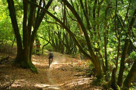 4 Mid-Day Hikes to Try in Berkeley + Oakland - 7x7 Bay Area