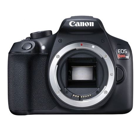 Best Cheap DSLR Cameras 2021: Picture Perfect