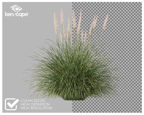 80 Grass Photo Overlays for Photoshop, Grass, Landscape, Plants, Cutouts, Scrapbooking, PNG ...