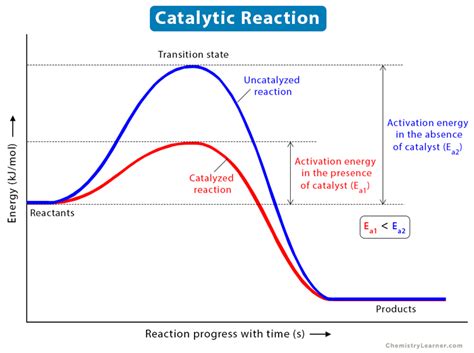 Enzyme Activation Energy Graph