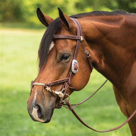 Weaver Leather® Justin Dunn Bitless Western Bridle in Tack for Trail Riding at Schneider Saddlery