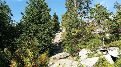 Bavarian Forest National Park Wallpapers - Wallpaper Cave