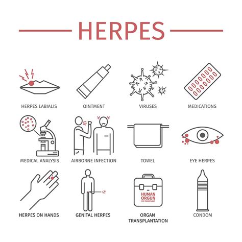 Herpes (Herpes Simplex) - Symptoms, Treatment | STD Herpes