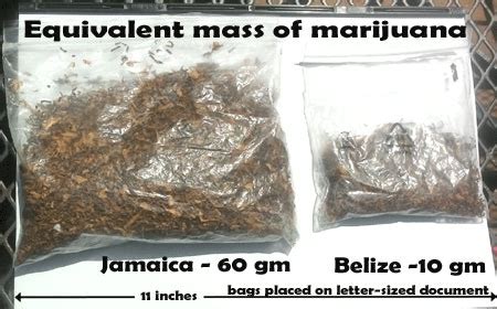 Marijuana decriminalization laws ready for Parliament | Amandala Newspaper