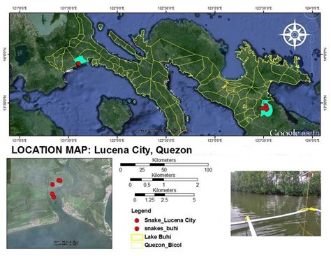 Topographical map of Lucena City, Quezon showing the sampling site | Download Scientific Diagram