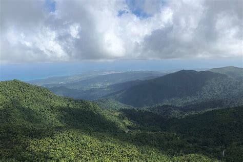 2024 (Naguabo) Private Tour to El Yunque Rainforest or Natural Mar Chiquita