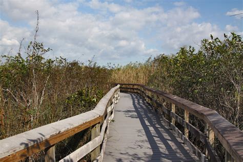 Everglades National Park, a Florida National Park located near ...