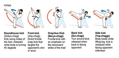 Taekwondo: Techniques Taekwondo