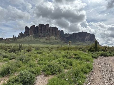 Best 10 Hikes and Trails in Lost Dutchman State Park | AllTrails