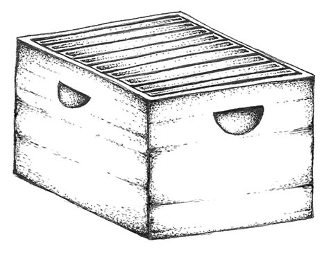 Beekeeping- Hive Body 2 - The Center for Pollinator Research