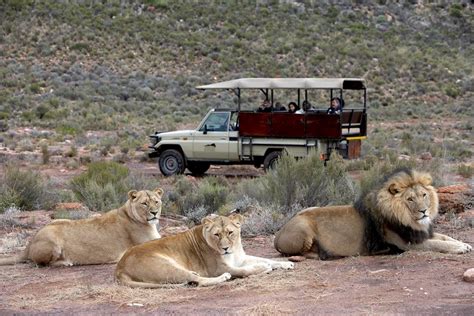 Best Private Game Reserves South Africa Budget Safaris