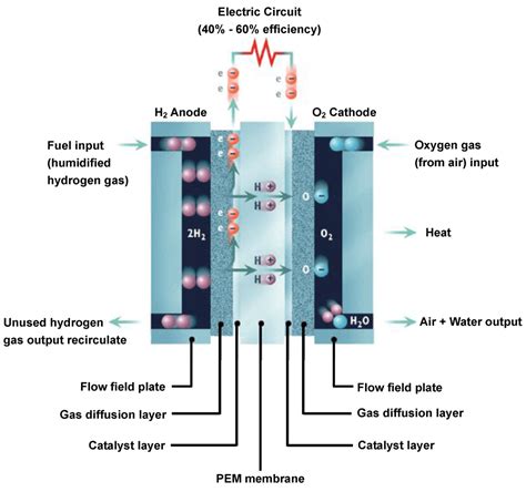 Fuel Cell Characterization