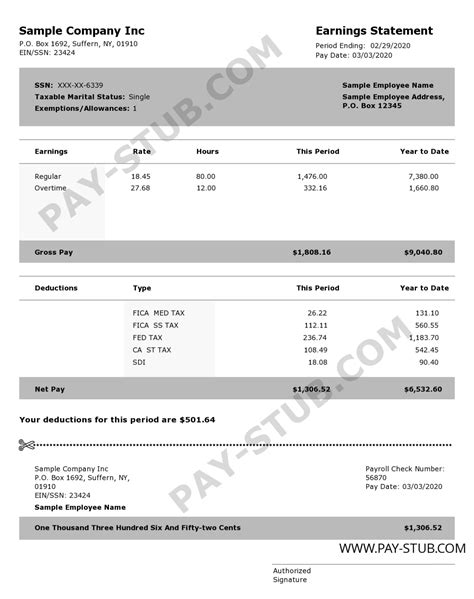 Adp Pay Stub Template Generator