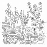 Potted Plant Coloring Page Pages sketch template
