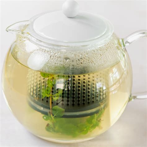 Fresh Herbal Tea (12 Herbs + How to Guide )