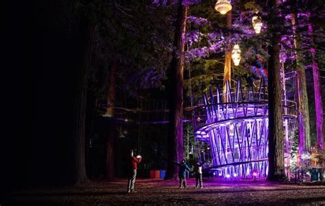 Things To Do In Rotorua At Night | Redwoods Nightlights Treewalk™