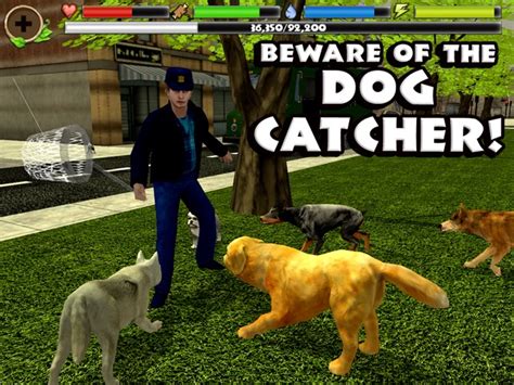 Stray Dog Simulator on AppGamer.com