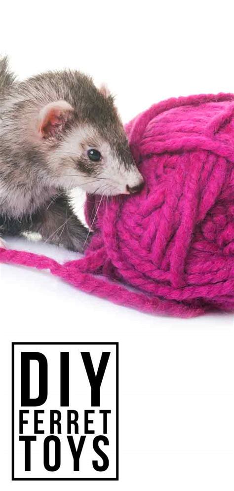 DIY Ferret Toys - Fabulously Free Ways To Entertain Your Ferret