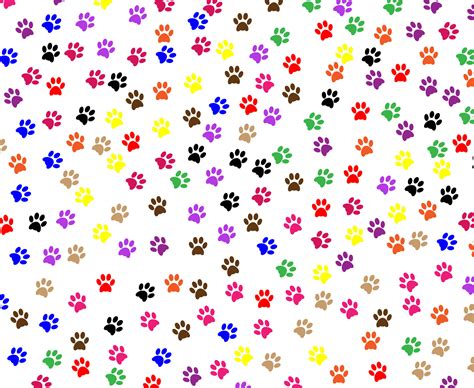 Paw Print Wallpaper Desktop