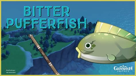 How To Catch a Bitter Puffer Fish (Showcase) | Genshin Impact - YouTube