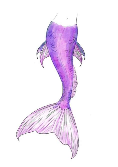 Beautiful Mermaid Tail Sketches