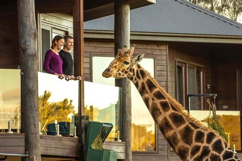 Jamala Wildlife Lodge and National Zoo & Aquarium, Canberra - For Sale ...