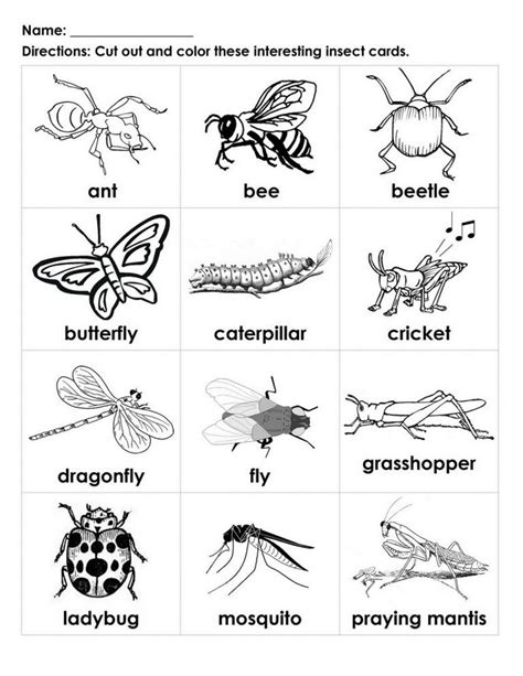 Free Handouts for Learning | Insects preschool, Kindergarten worksheets ...