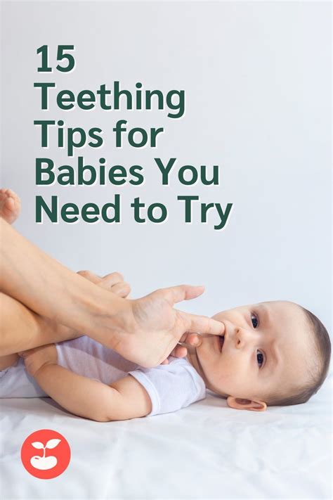 Teething tips for babies – Artofit