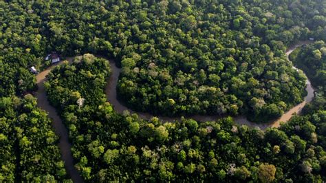 Amazon rainforest facing severe drought | CTV News