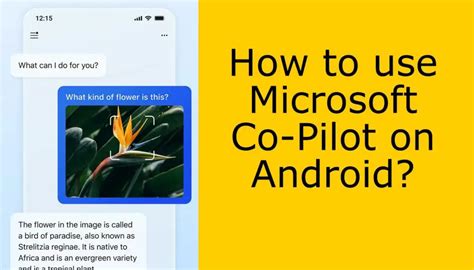 How to use Microsoft Copilot on Android? - Android Infotech