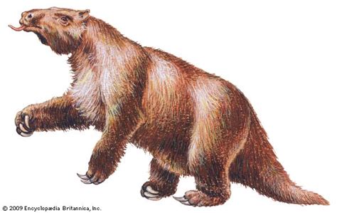 Megatherium | extinct mammal | Britannica.com