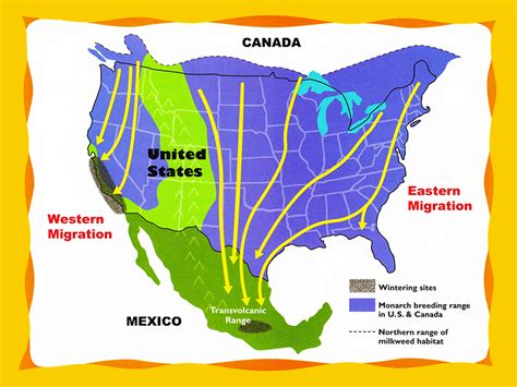 Monarch Butterfly Migration Map For Kids