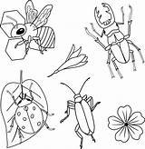 Clipart Di insetti Vettori Per Libro Da colorare Bambini  sketch template